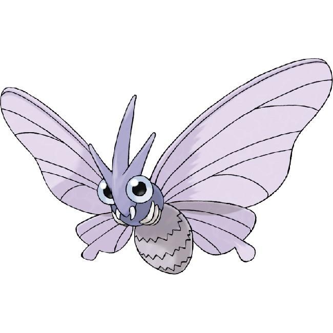 Venomoth