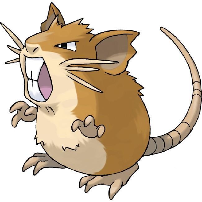Raticate