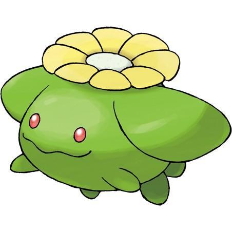 Skiploom