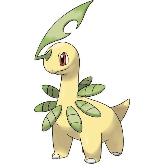 Bayleef