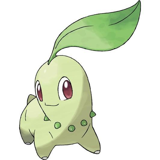 Chikorita