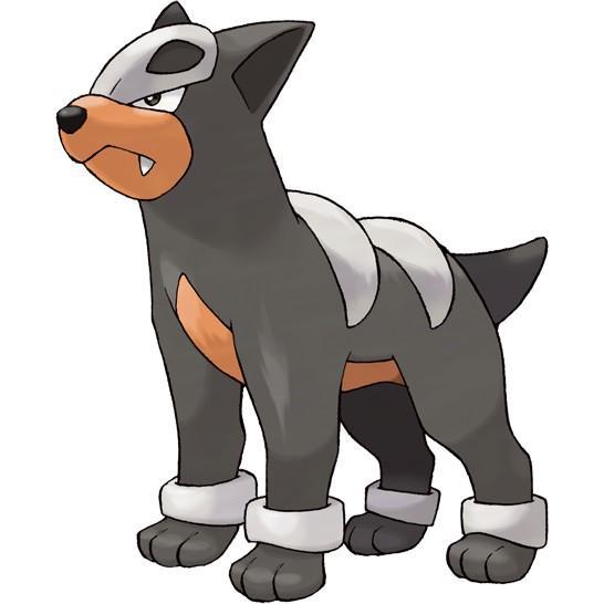 Houndour