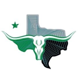 Dallas Stars