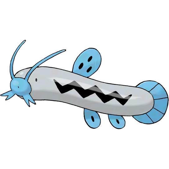 Barboach