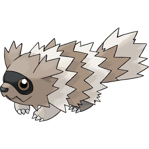 Zigzagoon