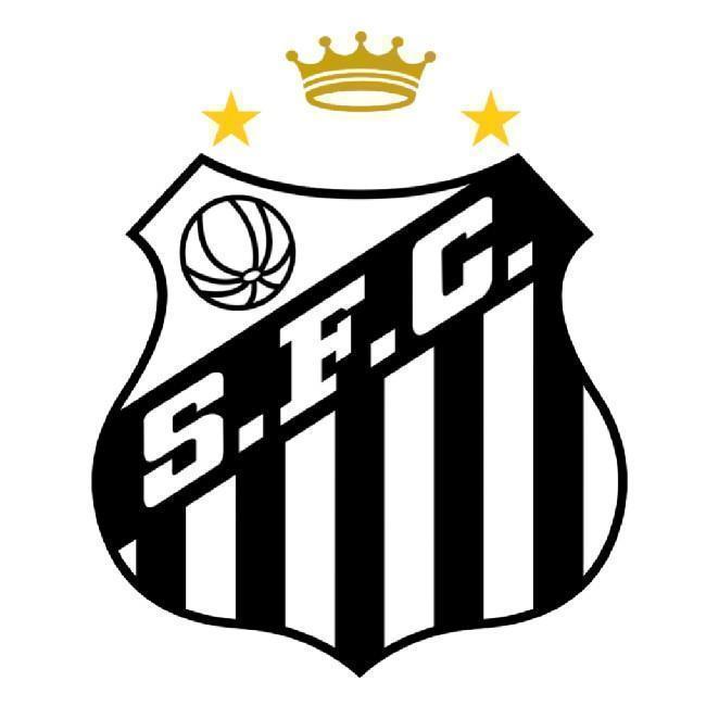 SANTOS FC ®⁷©³