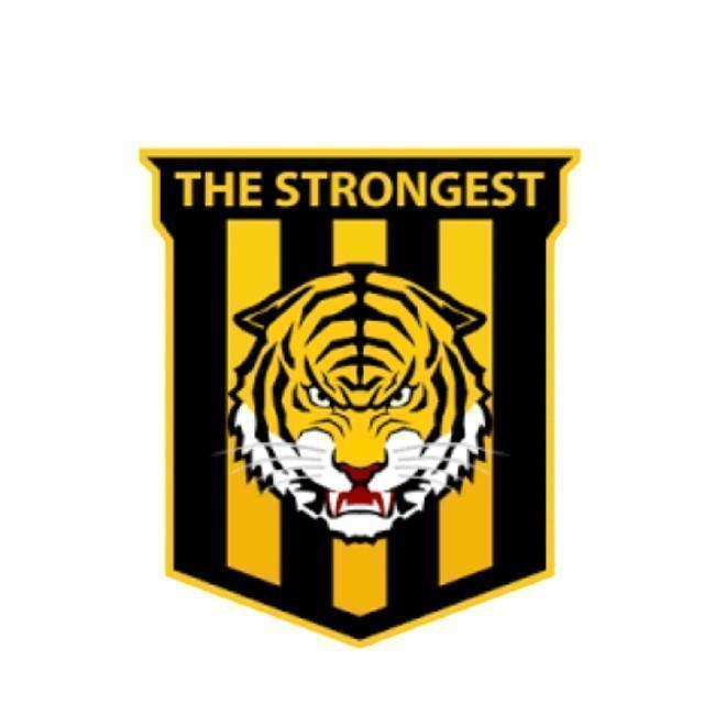 THE STRONGEST ®16 ( BOL )