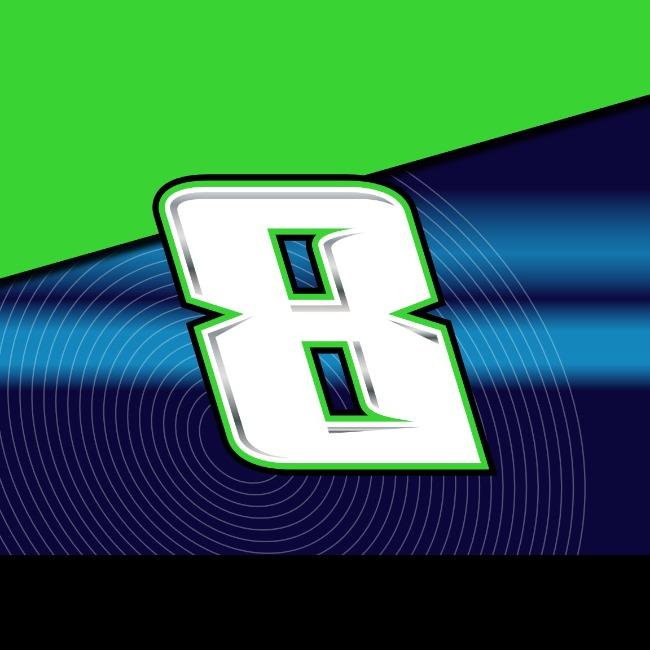 (8) Kyle Busch
