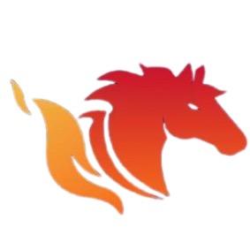 Calgary Flames
