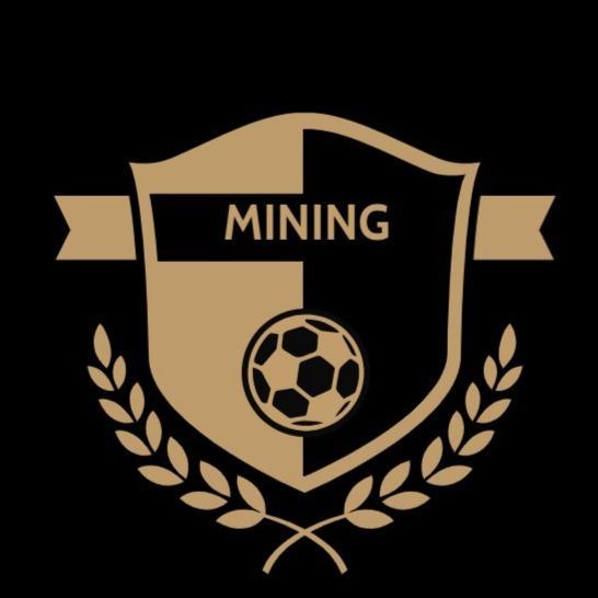 MINING/CONTRACTOR