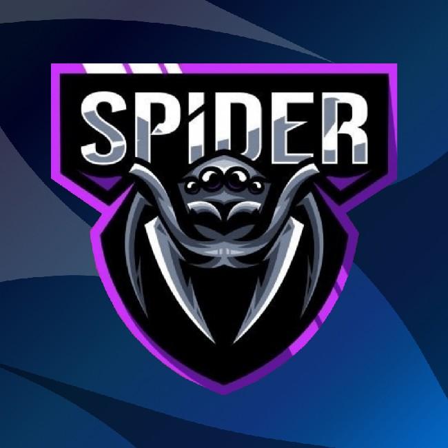 Spider