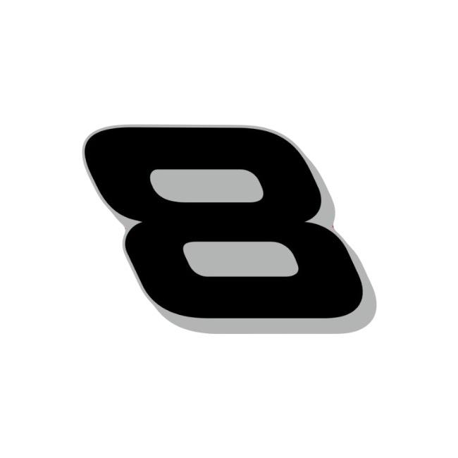 Ace EARNHARDT JR.