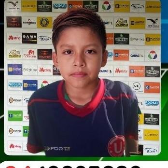 BRANDON ARTURO TICONA FLORES