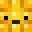 SR_MAIZPVP