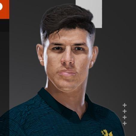 Pietro HIncapie