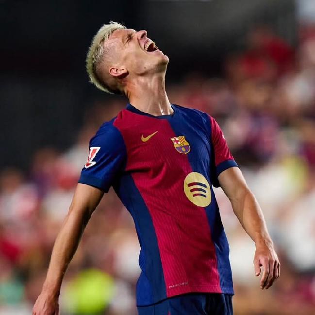 Dani olmo