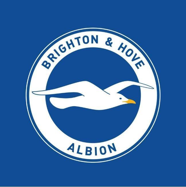 BRIGHTON & HOVE ALBION