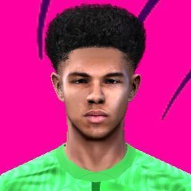 Shola Shoretire