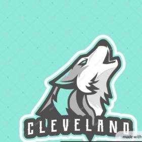 Cleveland Coyotes