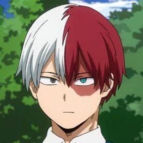 Shoto Todoroki