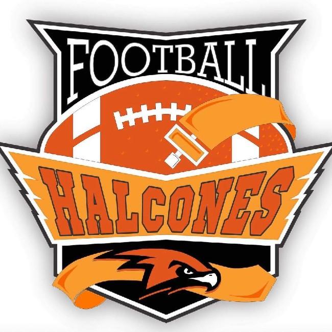 Halcones