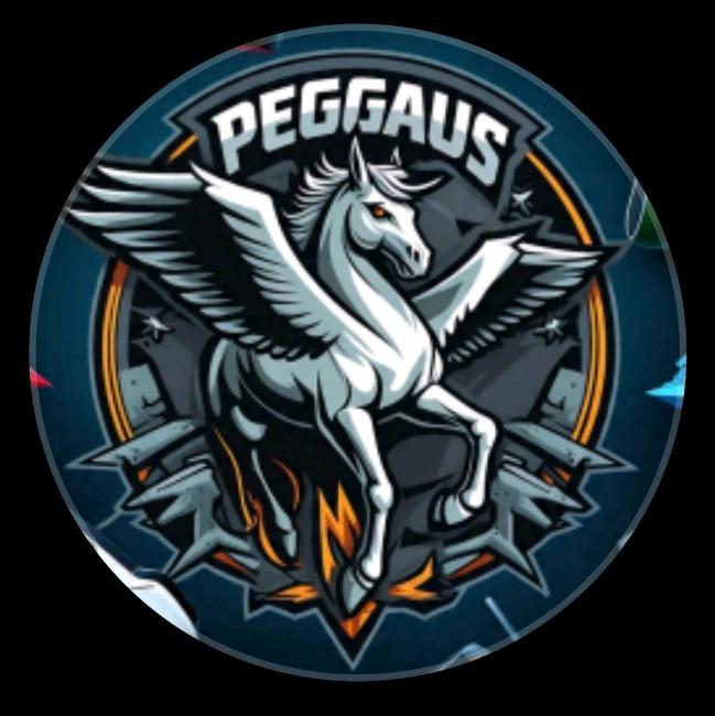 PEGASUS SPORTS ⬛⬛