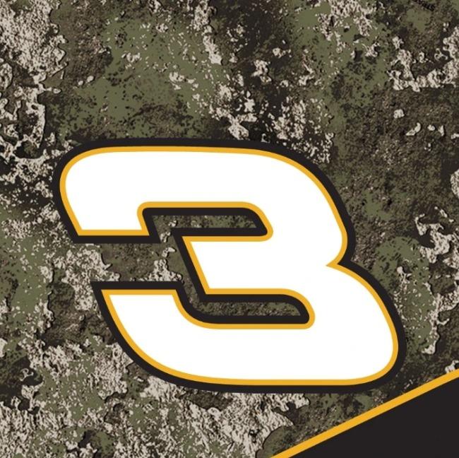 Austin Dillon
