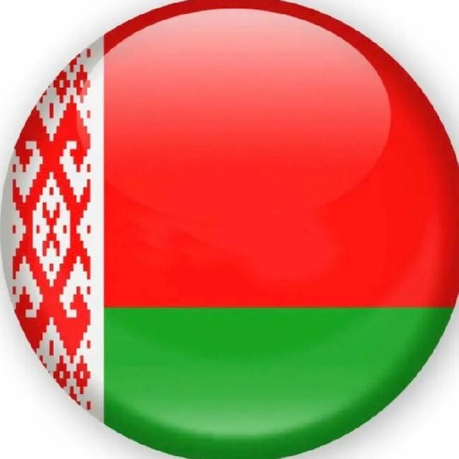 Шостак 84