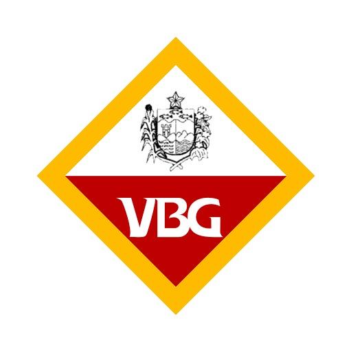 B.R Vini