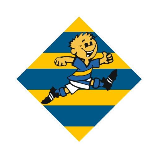 Grêmio Perguinha