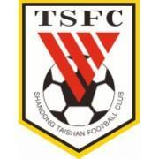 SHANDONG TAISHEN