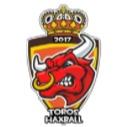 Toros