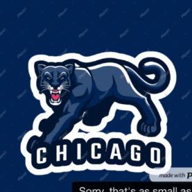 Chicago Cougars
