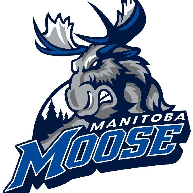 Manitoba Moose
