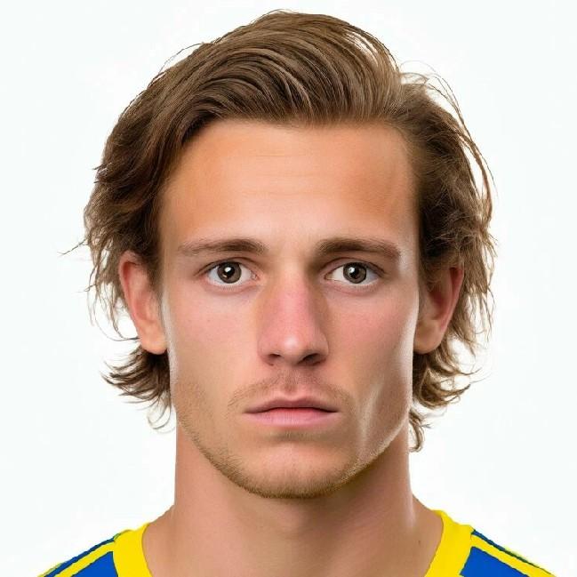 M. Dubinsson