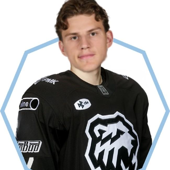 Андрей Никонов