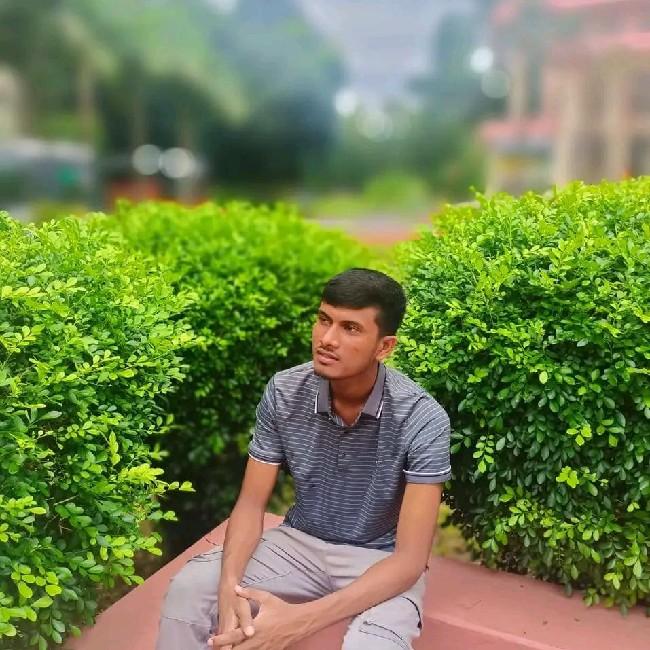 Ayas