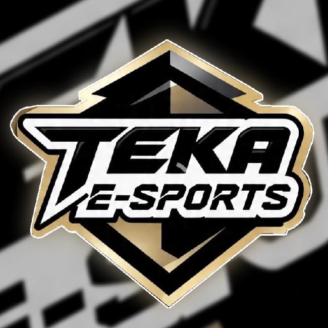 TEKA E-SPORTS