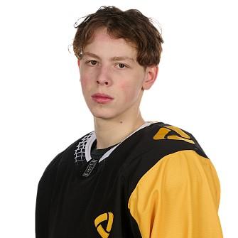 Виталий Пестерев