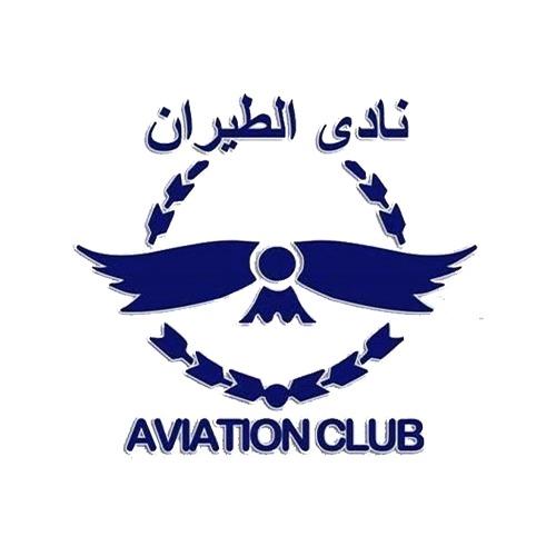 الطيران