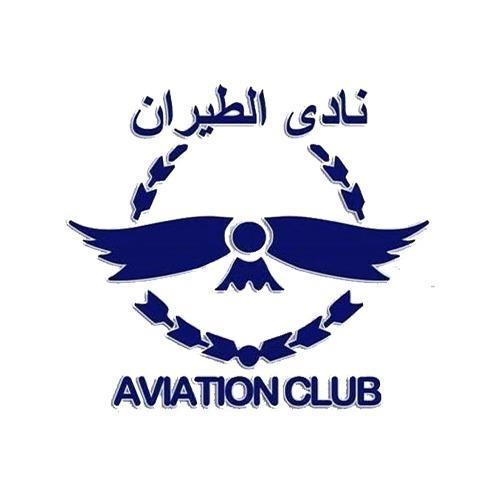 الطيران