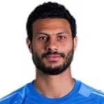 M. El-Shenawy