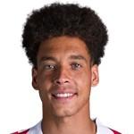 A. Witsel