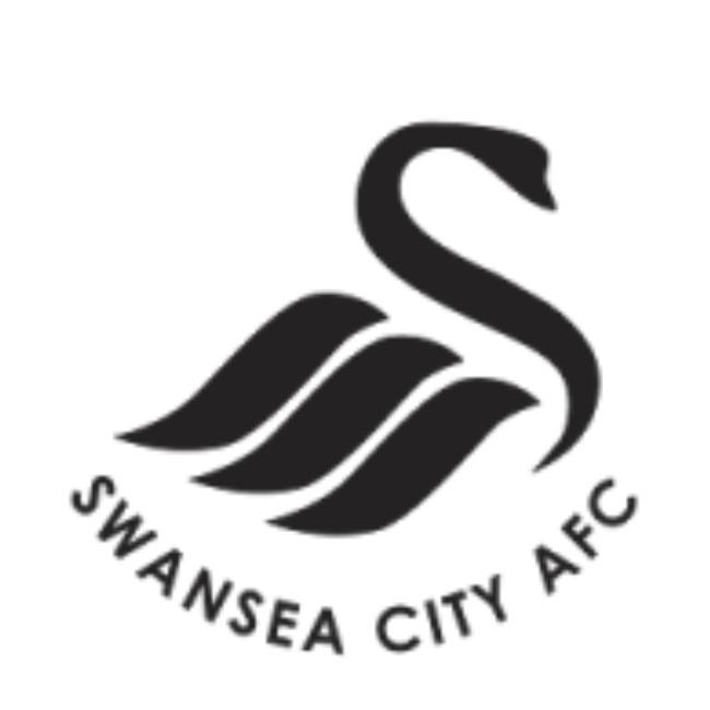 Swansea City AFC