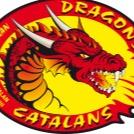 Catalans Dragons