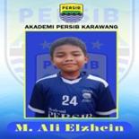Muhammad Ali Elzhein