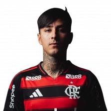 Erick Pulgar