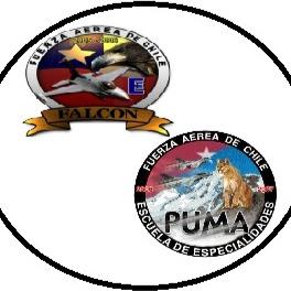 Falcon/Puma