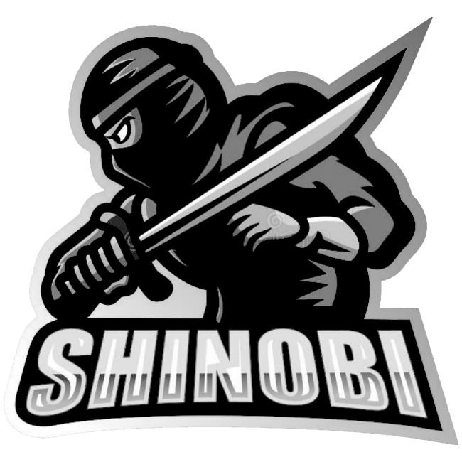 Ninjas In Pyjamas