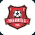 FC Hermannstadt